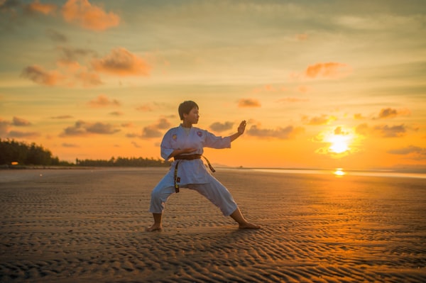 Karate Gymnastics